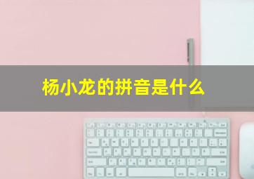 杨小龙的拼音是什么