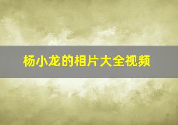 杨小龙的相片大全视频