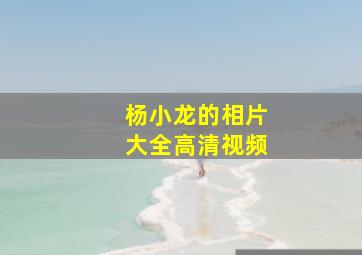 杨小龙的相片大全高清视频