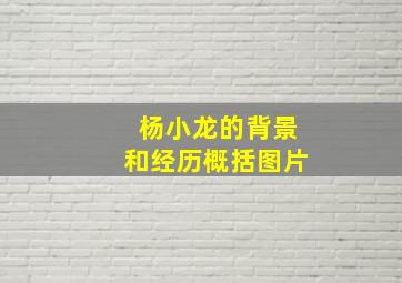 杨小龙的背景和经历概括图片