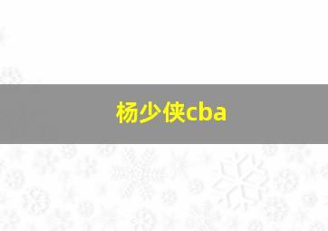 杨少侠cba