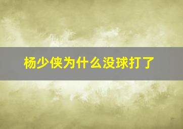 杨少侠为什么没球打了