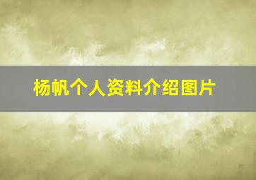 杨帆个人资料介绍图片