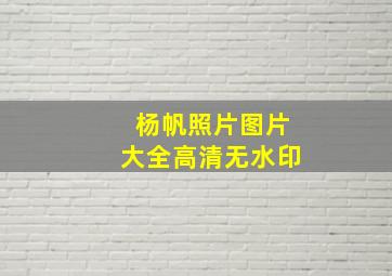 杨帆照片图片大全高清无水印