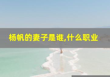 杨帆的妻子是谁,什么职业