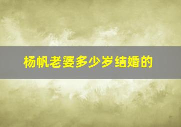 杨帆老婆多少岁结婚的