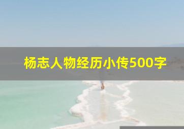 杨志人物经历小传500字