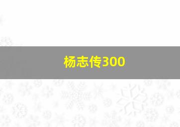 杨志传300