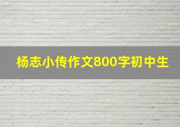 杨志小传作文800字初中生