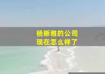 杨晰雅的公司现在怎么样了