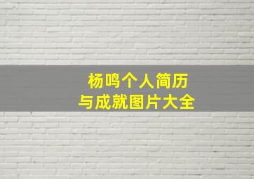 杨鸣个人简历与成就图片大全