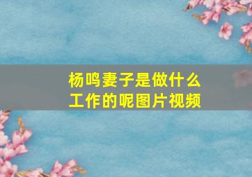 杨鸣妻子是做什么工作的呢图片视频