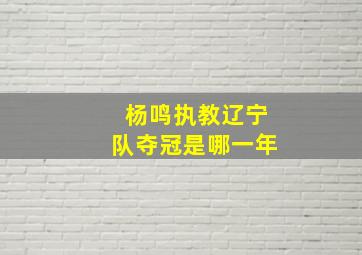 杨鸣执教辽宁队夺冠是哪一年