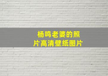 杨鸣老婆的照片高清壁纸图片