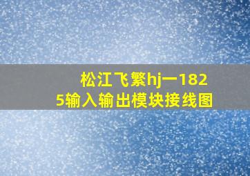 松江飞繁hj一1825输入输出模块接线图