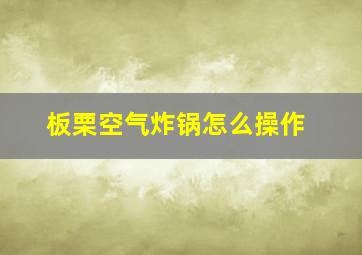 板栗空气炸锅怎么操作