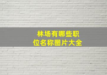 林场有哪些职位名称图片大全