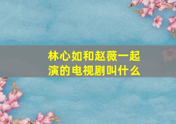 林心如和赵薇一起演的电视剧叫什么