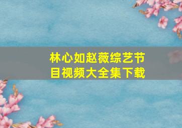 林心如赵薇综艺节目视频大全集下载