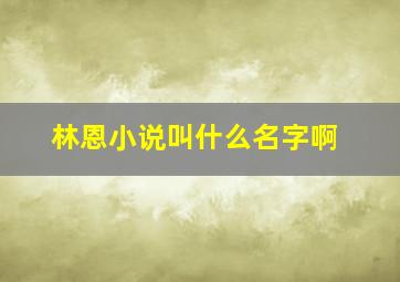 林恩小说叫什么名字啊