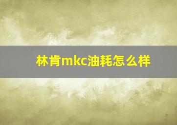 林肯mkc油耗怎么样