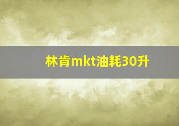 林肯mkt油耗30升