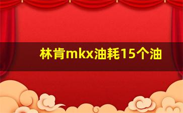 林肯mkx油耗15个油