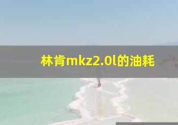 林肯mkz2.0l的油耗