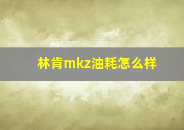 林肯mkz油耗怎么样