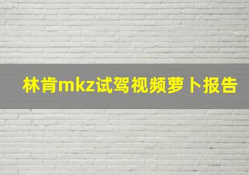 林肯mkz试驾视频萝卜报告