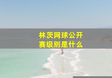 林茨网球公开赛级别是什么