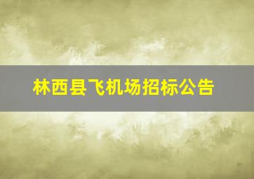 林西县飞机场招标公告