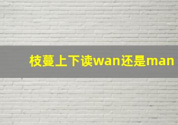 枝蔓上下读wan还是man