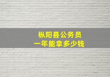 枞阳县公务员一年能拿多少钱