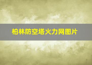 柏林防空塔火力网图片