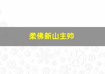 柔佛新山主帅