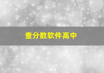 查分数软件高中