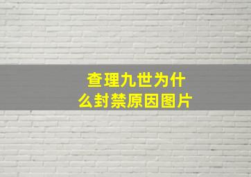 查理九世为什么封禁原因图片