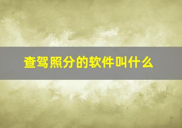 查驾照分的软件叫什么