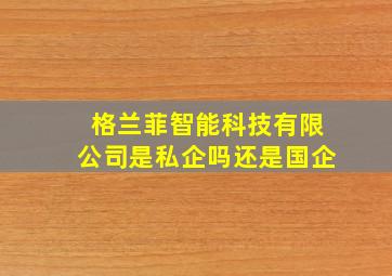 格兰菲智能科技有限公司是私企吗还是国企