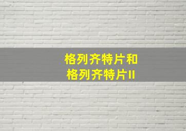 格列齐特片和格列齐特片II