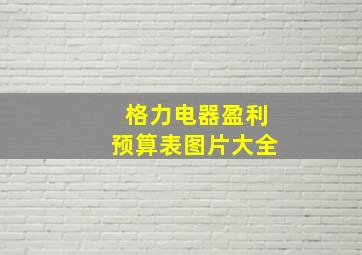 格力电器盈利预算表图片大全