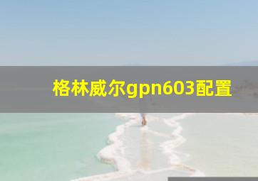 格林威尔gpn603配置