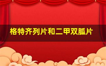 格特齐列片和二甲双胍片