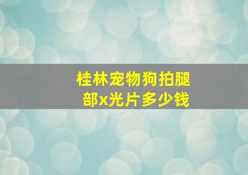 桂林宠物狗拍腿部x光片多少钱