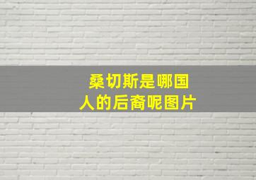 桑切斯是哪国人的后裔呢图片