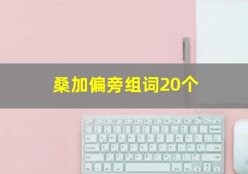 桑加偏旁组词20个