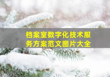 档案室数字化技术服务方案范文图片大全