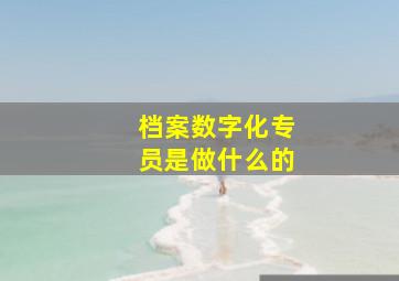 档案数字化专员是做什么的