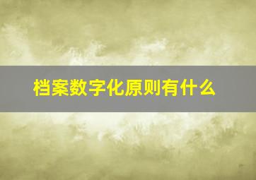 档案数字化原则有什么